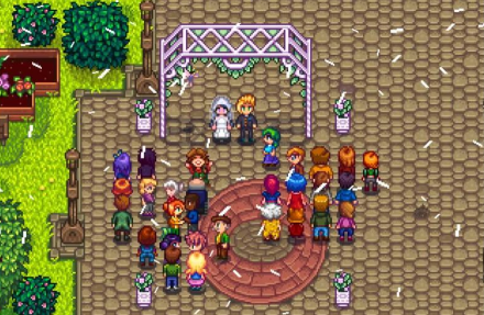 星露谷物语离婚后怎么再结婚 星露谷物语离婚后怎么再结婚