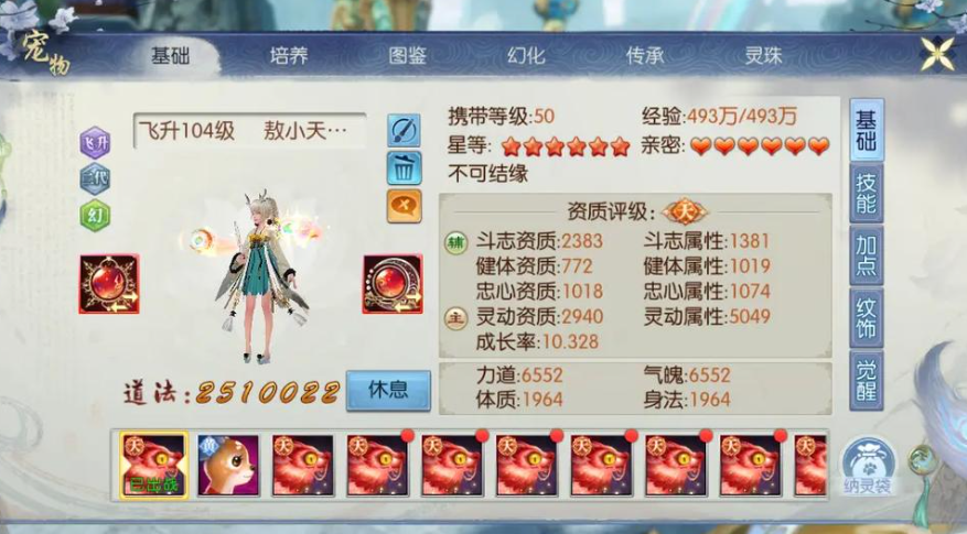 诛仙手游宠物技能怎么学4个 诛仙手游宠物技能怎么学4个