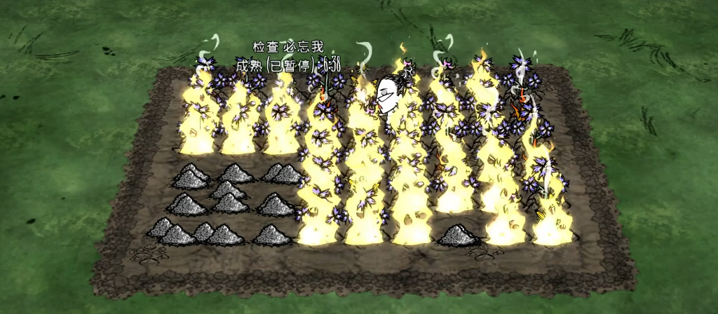 饥荒杂草有什么用 饥荒杂草有什么用