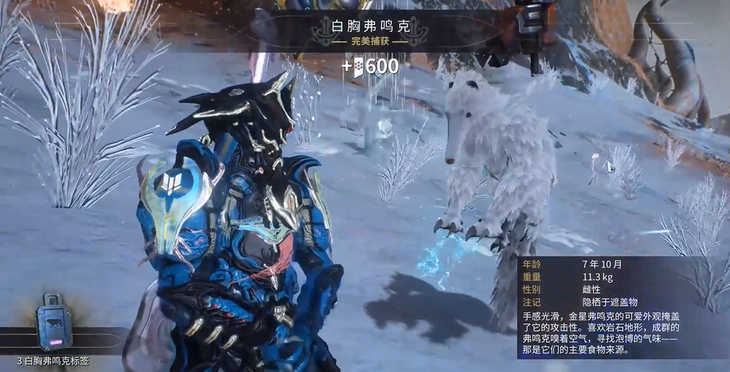 星际战甲野生动物怎么找