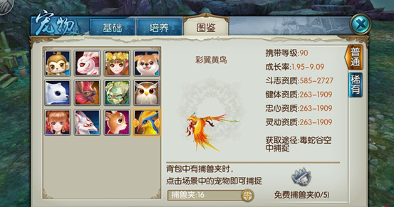 诛仙手游稀有喵呜在哪里 诛仙手游稀有喵呜在哪里