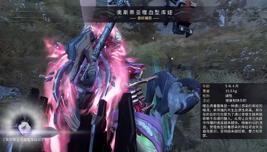 星际战甲前期干什么最赚钱啊 星际战甲前期干什么最赚钱啊