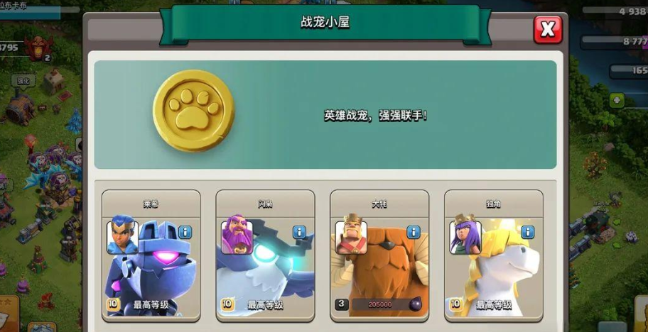 部落冲突大守护者带什么战宠好