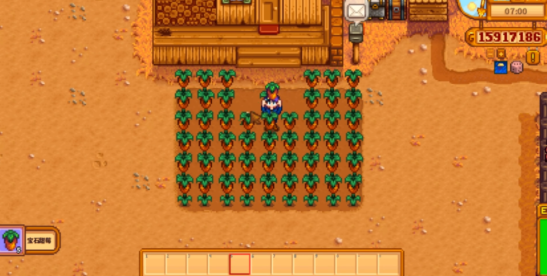 星露谷物语耕种等级5选什么好