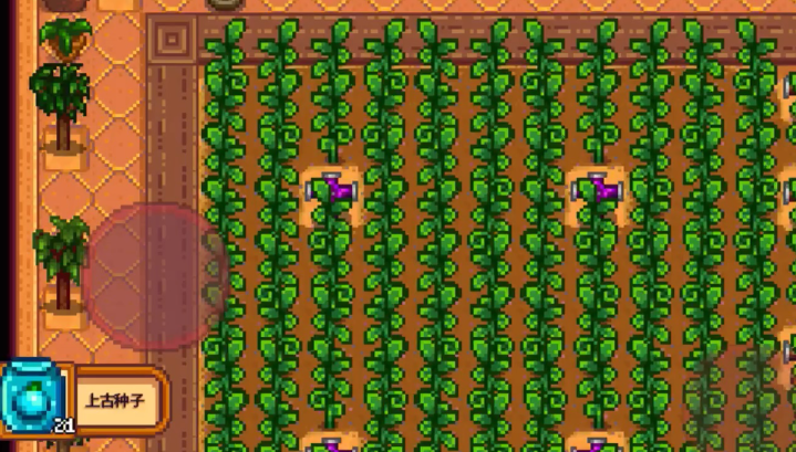 星露谷物语什么酿酒收益高