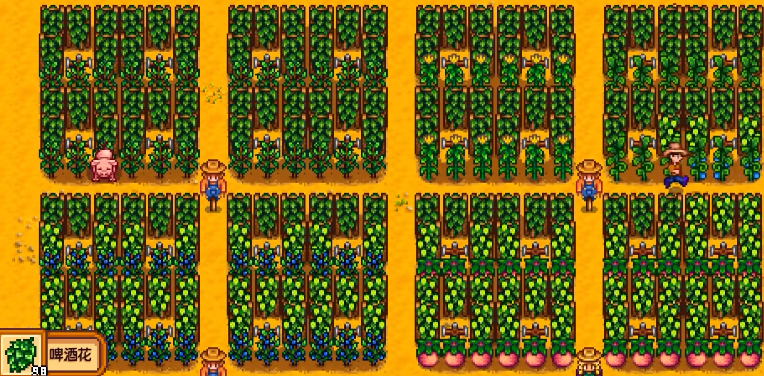 星露谷物语技巧心得有哪些