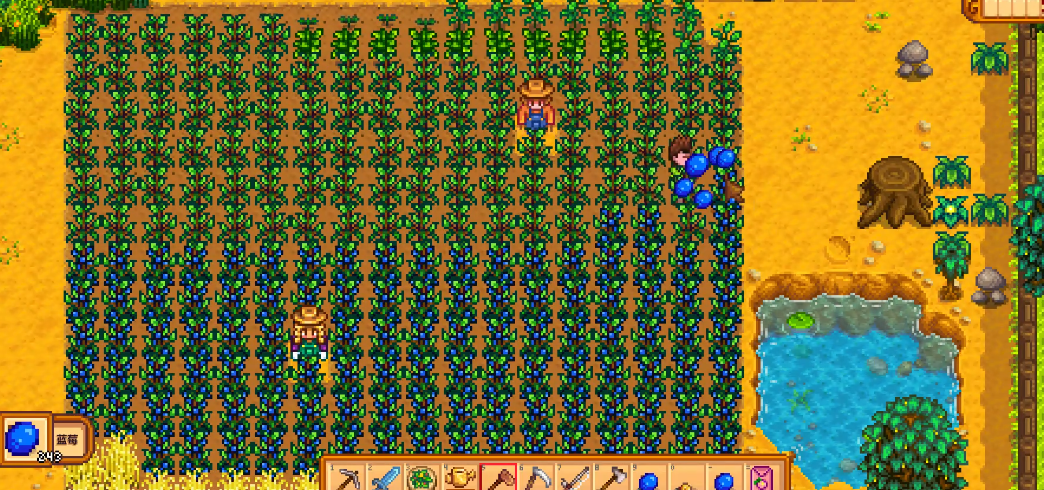 星露谷物语夏季怎么赚钱