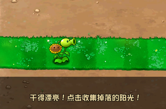 植物大战僵尸杂交版重制版