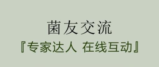 菌窝子蘑菇识别扫一扫